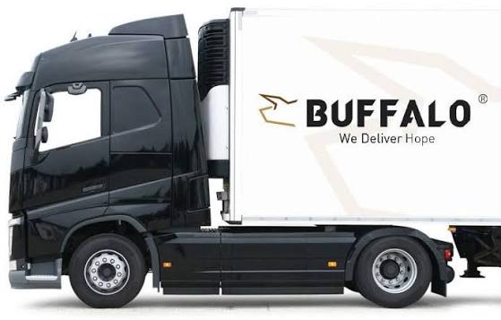 Buffalo Logistics Vacancies : Careers, Requirements and Guide